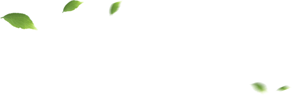 多宝电竞·(中国区)官方网站