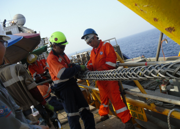 多宝电竞·(中国区)官方网站