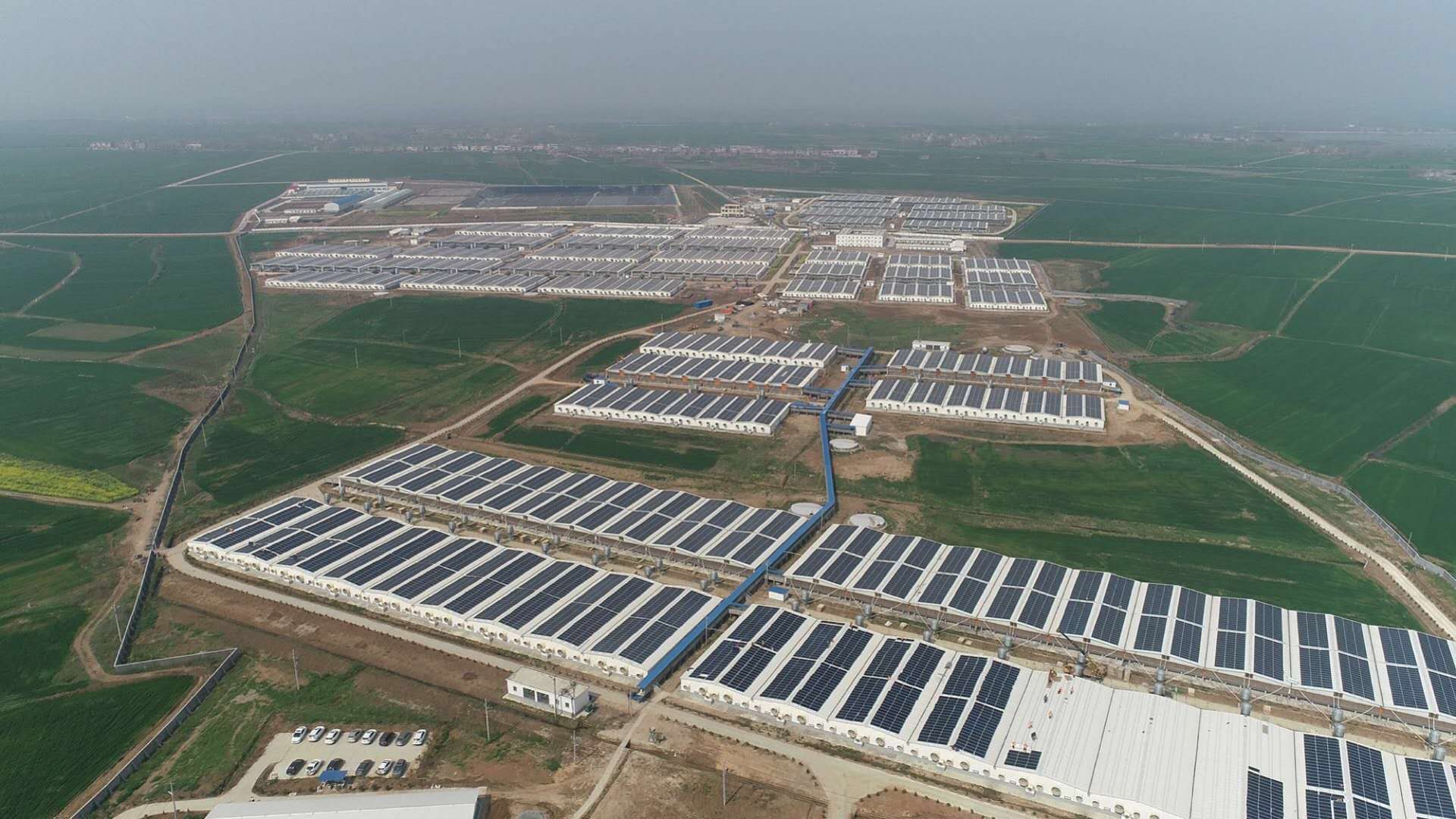 多宝电竞·(中国区)官方网站