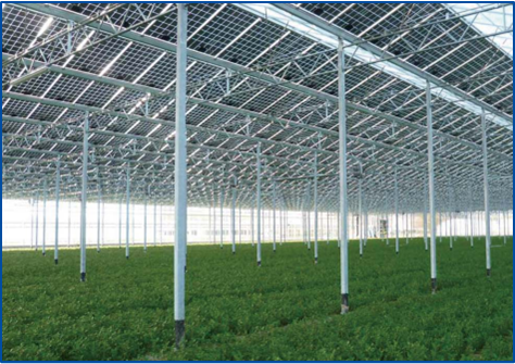 多宝电竞·(中国区)官方网站