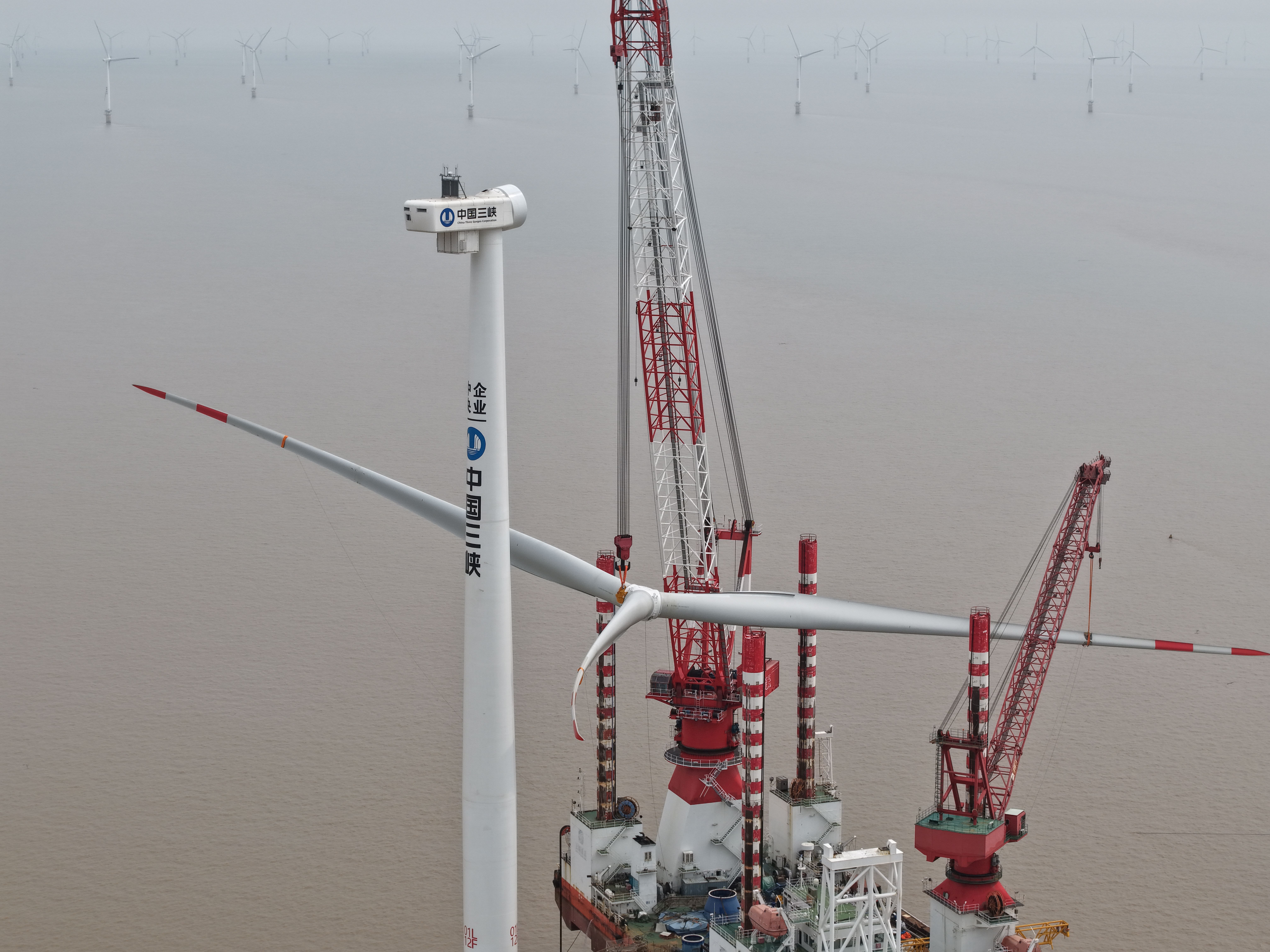 多宝电竞·(中国区)官方网站